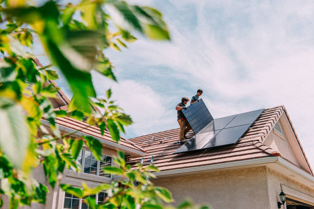 Best Roof Gutter Cleaning  in Vermillion, SD